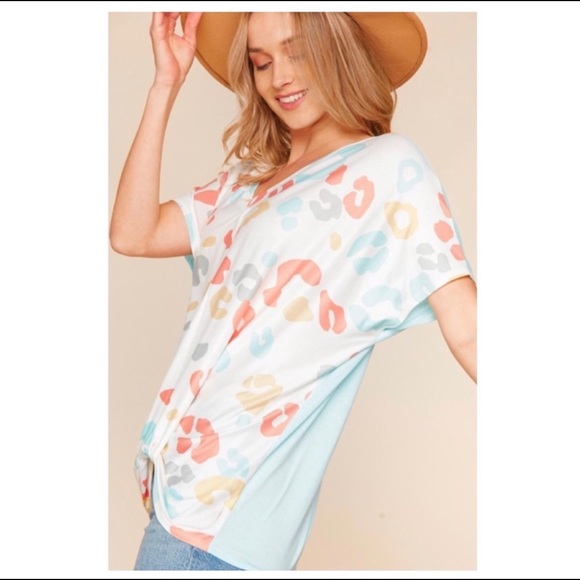 Multicolor Animal Print V-Neck Top - Picture 5 of 7